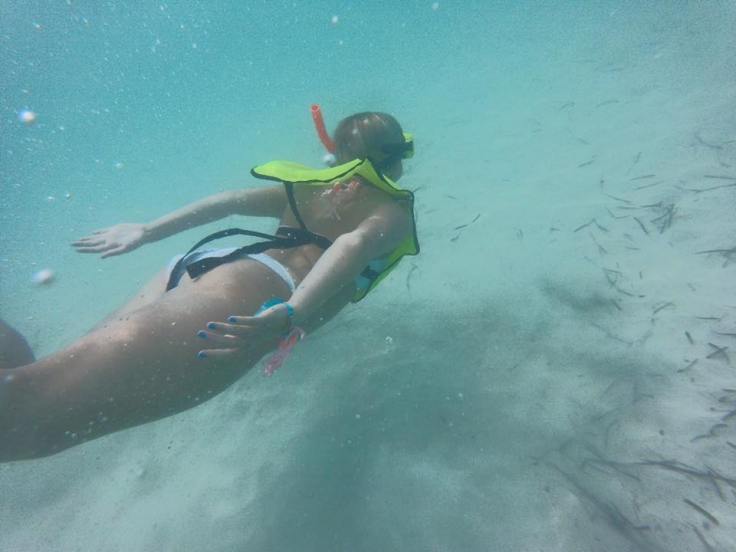 10152018_10153422258693053_6447582222889074308_n