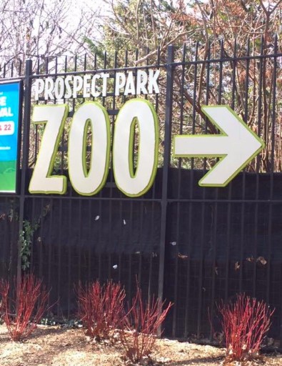 12376356_10153449864913053_7589000018788048226_n