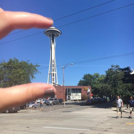 14102548_10153782500733053_401941807399836814_n