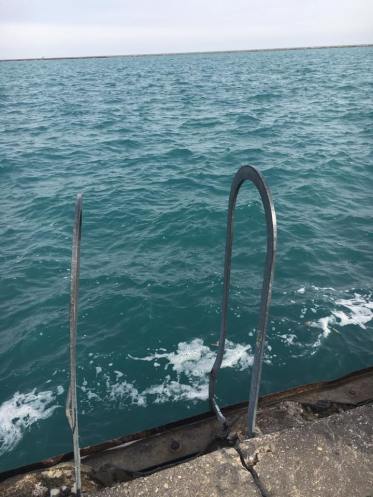 17156253_10154323369883053_8684054246696732045_n